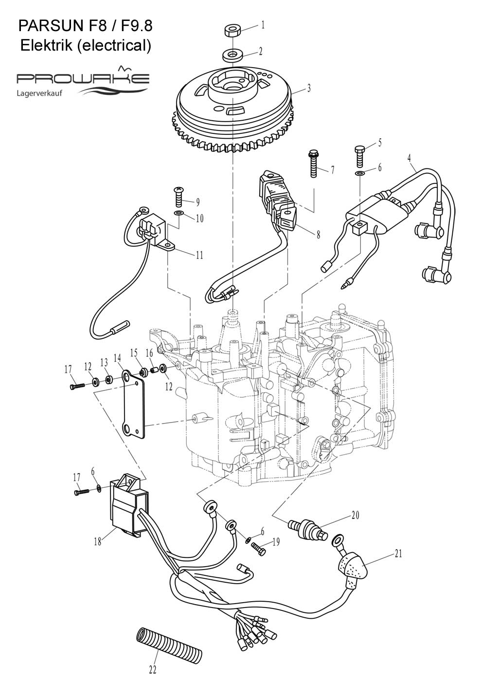 Parsun F9.8  Ersatzteile / Spare Parts: Elektrik