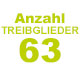  
	     
    Sägeketten mit 
    63 Treibglieder (63E)
	    
	