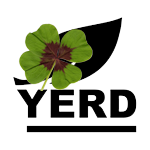 YERD Logo Silvester Neujahr