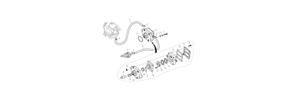 Parsun F9.8 Kraftstoffpumpe