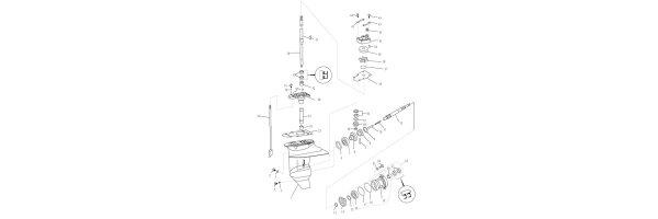 Parsun F15 Unteres Gehäuse + Antrieb I