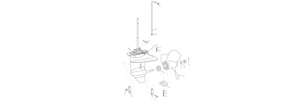 Parsun F15 Unteres Gehäuse + Antrieb II