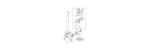YAMAHA Außenborder F2.5 Unteres Gehäuse+Antrieb2