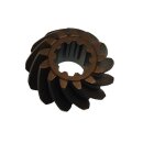 PINION