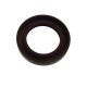 OIL SEAL / Parsun Ersatzteil