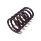 SPRING,VALVE / Parsun Ersatzteil