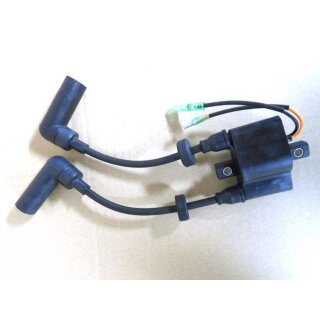 Zündspule F15 ABMS / IGNITION COIL ASSY F15(A)
