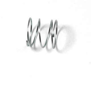 SPRING DIAPHRAGM