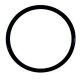O-RING / Parsun Ersatzteil