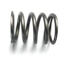 SPRING VALVE / Ersatzteil Aussenborder Parsun
