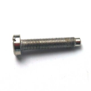 ADJUSTING SCREW, THROTTLE