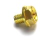 SCREW, DRAIN