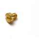 SCREW, DRAIN / Ersatzteil Aussenborder Parsun