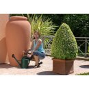 Graf Regentonne Amphore 500 Liter in Terracotta-Optik, mediteraner Toskana Stil, made in Germany