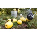 SET Profi Fallobstsammler: YERD Roll-In Large (v2022) Apfelsammler / Rollsammler  +  Stiel,  als Set-Angebot