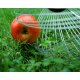 SET Profi Fallobstsammler: YERD Roll-In Large (v2022) Apfelsammler / Rollsammler  +  Stiel,  als Set-Angebot