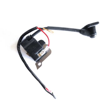 CDI-Zündung / Ersatzteil F1.2 CDI Außenborder