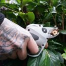 Profi Akkuschere Weinbau / Obstbau,  2 x 14,4V Li-Ion 2,5 Ah (36 Wh) Wechselakkus mit bürstenlosem Motor: Elektrische Rebschere  Kamikaze KV290, Ø 2,3 - 2,5 cm Schnittstärke, SAMSUNG Zellen