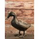 Gartendeko: Bronzefigur "Ente stehend groß" - gold braun lackiert
