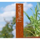 Beet-Steckschild Edelrost verschiedene Motive zur Auswahl Thymian