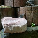 Gartendeko: Vogeltränke mit  Bronze-Vogel, ca. 30 cm breit - mit rötlichem Bergstein