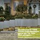 Hochbeet nach Maß - Hochbeet Metall - Edelstahlhochbeet "Square 163" mit runden Ecken in verschiedenen Größen 80cm Edelstahl