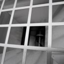 Kirschen und Pflaumen- Entsteiner OE1000 Edelstahl