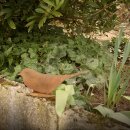 Gartendeko rostig: Vogel-Figur mit Standsockel,...