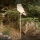 Gartendeko: Gartenstecker / Zaunfigur "Eule groß" mit Erdspieß in Edelrost, Metall, beige / creme-farben lackiert, ca. 110cm groß, stabiler 2mm dicker Stahl, original Rottenecker Objekt
