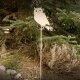Gartendeko: Gartenstecker / Zaunfigur "Eule groß" mit Erdspieß in Edelrost, Metall, beige / creme-farben lackiert, ca. 110cm groß, stabiler 2mm dicker Stahl, original Rottenecker Objekt