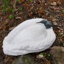 Vogeltränke aus Steinguss Herz mit Rottenecker...