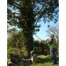 YERD 5-in-1 Multi-Freischneider: 4-Takt Benzin-Motorsense, Heckenschere, Ast-Kettensäge und Freischneider/Rasentrimmer in einem / 1,5 PS / universelle 25,4 mm Aufnahme - STARTER SET 1