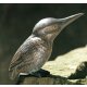 Gartendeko: Bronzefigur Eisvogel ca. 60 cm hoch mit Stein / Stele in Farbe gelb
