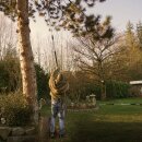 Profi Teleskop  Akku Astschere  elektrisch 202cm, Kamikaze KV201 Schneidgiraffe,  2 Akkus,   21,6 Volt 4,0Ah (86,4 Wh), 2 Schnittprogramme, bürstenloser Motor (Versand kostenfrei*)