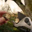 Profi Teleskop  Akku Astschere  elektrisch 202cm, Kamikaze KV201 Schneidgiraffe,  2 Akkus,   21,6 Volt 4,0Ah (86,4 Wh), 2 Schnittprogramme, bürstenloser Motor (Versand kostenfrei*)