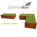 YERD CortenBOX 100: stabiles  Kaminholz-Regal  100x60x35cm,   Holzbox / Holzregal aus echtem Corten-Stahl (!), Farbe Rost-Patina, verschweißtes (!) Stahl-Regal für Feuerholz