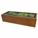 YERD CortenBOX 150: Cortenstahl Beet-Einfassung 150x60x3, 35cm Hochbeet aus echtem 1,6mm Corten-Stahl (!), Farbe Rost-Patina, verschweißt - nicht verschraubt, witterungs-beständig,  auch stehend als Brennholz-Regal verwendbar  (Versand kostenfrei*)