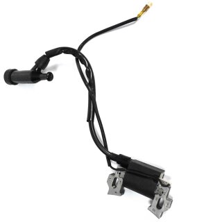 Ersatzteil: Zündspule für Wasserpumpe BW TKB50 2" / QDZ50-30