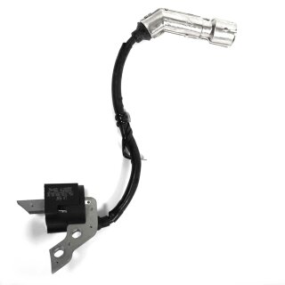 Ersatzteil: Zündspule für Wasserpumpe BW QDZ25-30 1"