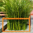 Corten PAQUETE VACIO 6 Beeteinfassung  / Zaun /...