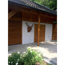 Scharfes Hirsch-Geweih modern - Cortenstahl, Design-Objekt aus Corten-Stahl, rostig, Materialdicke 2mm, 90x70x60 cm, made in EU (Versand kostenfrei*)