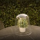 B-Ware: 9x Pflanzen vor Frost, Schnecken und Hagel schützen: 3x3er Set - 20cm YERD BIO-SPHÄRE MIDI - flexible Pflanzglocke / Pflanzenhut / Anzucht-Glocke mit Bewässerungs- und Klima-Ventil + Bodenanker, Schutz für Sämlinge, Frühbeet- und Topfpflanzen