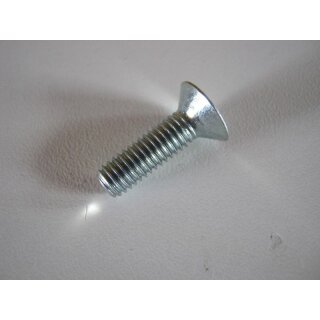 Imbusschraube 6 x 20  für Fruit Shark Obstmühle