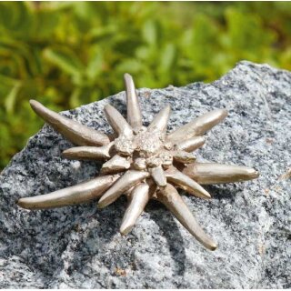 Edelweiß groß, silber patiniert  10x10 cm (ohne Stein)