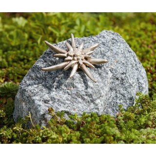 Gartendeko: Bronzefigur Edelweiß groß auf Schwarzwaldgranit