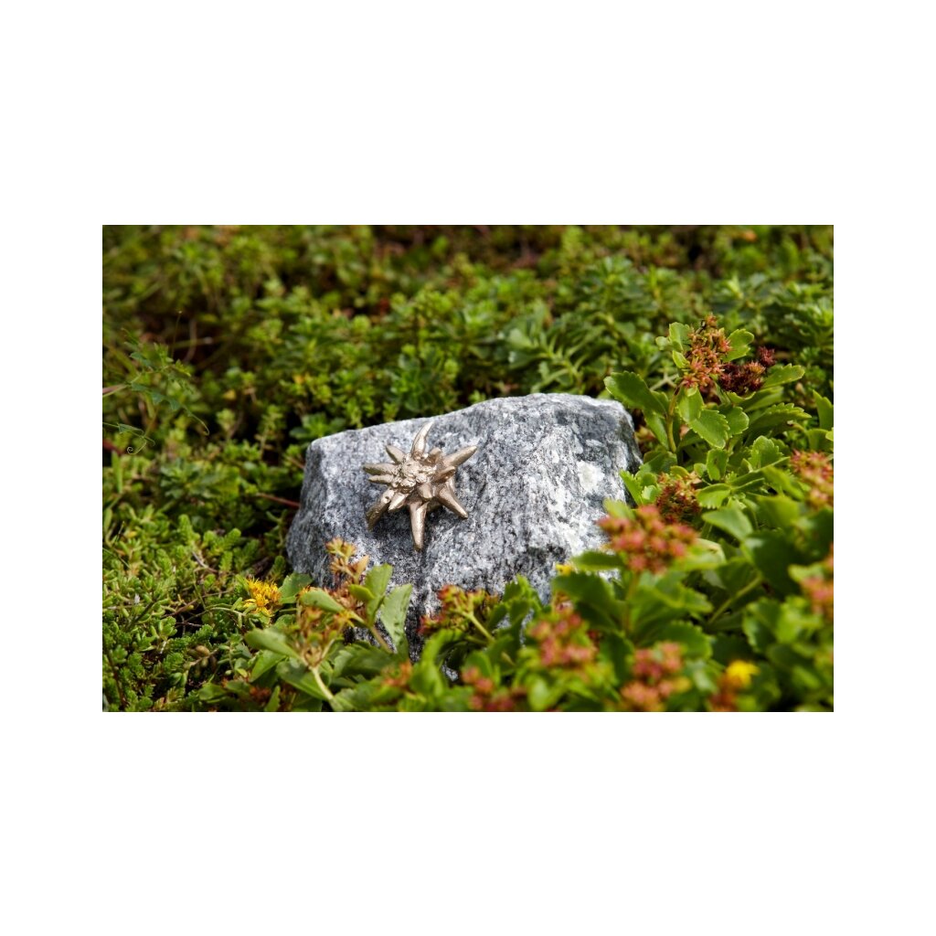 Edelweiß klein, silber patiniert  5x6 cm (ohne Stein) 	 
		 (Bronze, Figur, Garten)  
	