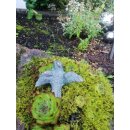 Gartendeko Figur: Bronzefigur Garten,  Vogel, Flügel offen, 4 cm hoch, original Rottenecker Objekt  (Restposten)