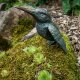 Gartendeko Figur: Bronzefigur Garten,  Eisvogel groß, 15 cm hoch, Flügel offen, original Rottenecker Objekt