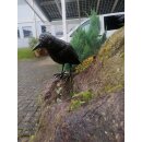 Gartendeko Figur: Bronzefigur Garten, Rabe "Faustus", Krähe 24 cm hoch (lebensgroß), original Rottenecker Objekt