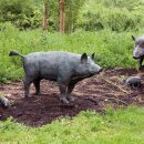 Gartendeko Figur: Bronzefigur Garten, Wildschwein /...